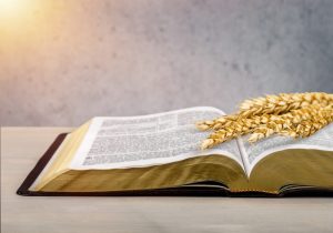 textes bibliques